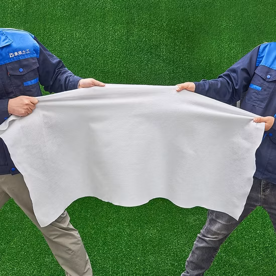 Geotêxtil tecido material PP para animais de estimação de cor preta 100~1000 G para construção de estradas